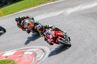 Red Bikes