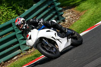 cadwell-no-limits-trackday;cadwell-park;cadwell-park-photographs;cadwell-trackday-photographs;enduro-digital-images;event-digital-images;eventdigitalimages;no-limits-trackdays;peter-wileman-photography;racing-digital-images;trackday-digital-images;trackday-photos