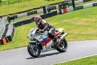 cadwell-no-limits-trackday;cadwell-park;cadwell-park-photographs;cadwell-trackday-photographs;enduro-digital-images;event-digital-images;eventdigitalimages;no-limits-trackdays;peter-wileman-photography;racing-digital-images;trackday-digital-images;trackday-photos