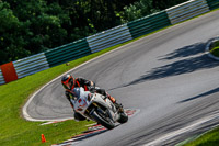 White Bikes