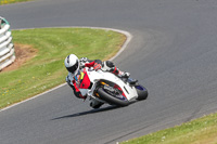 Advanced Group White Bikes