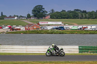 Lower Group Green Bikes