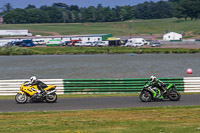 Lower Group Green Bikes