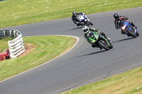 Lower Group Green Bikes