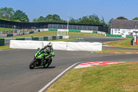 Lower Group Green Bikes