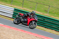 Lower Group Red Bikes