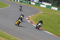 Lower Group White Bikes