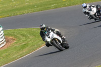 Lower Group White Bikes