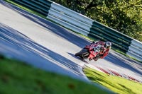 Advanced Group Red Bikes