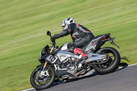 Lower Group Silver/Grey Bikes