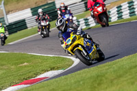 Lower Group Yellow Bikes