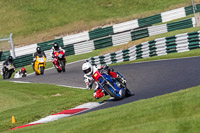 cadwell-no-limits-trackday;cadwell-park;cadwell-park-photographs;cadwell-trackday-photographs;enduro-digital-images;event-digital-images;eventdigitalimages;no-limits-trackdays;peter-wileman-photography;racing-digital-images;trackday-digital-images;trackday-photos