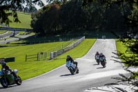 Middle  Group White Bikes