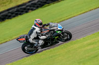 PJ-Motorsport-Photography-2018;anglesey-no-limits-trackday;anglesey-photographs;anglesey-trackday-photographs;enduro-digital-images;event-digital-images;eventdigitalimages;no-limits-trackdays;peter-wileman-photography;racing-digital-images;trac-mon;trackday-digital-images;trackday-photos;ty-croes