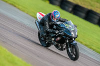 PJ-Motorsport-Photography-2018;anglesey-no-limits-trackday;anglesey-photographs;anglesey-trackday-photographs;enduro-digital-images;event-digital-images;eventdigitalimages;no-limits-trackdays;peter-wileman-photography;racing-digital-images;trac-mon;trackday-digital-images;trackday-photos;ty-croes