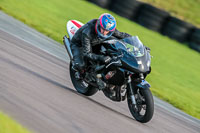 PJ-Motorsport-Photography-2018;anglesey-no-limits-trackday;anglesey-photographs;anglesey-trackday-photographs;enduro-digital-images;event-digital-images;eventdigitalimages;no-limits-trackdays;peter-wileman-photography;racing-digital-images;trac-mon;trackday-digital-images;trackday-photos;ty-croes