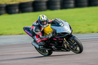 PJ-Motorsport-Photography-2018;anglesey-no-limits-trackday;anglesey-photographs;anglesey-trackday-photographs;enduro-digital-images;event-digital-images;eventdigitalimages;no-limits-trackdays;peter-wileman-photography;racing-digital-images;trac-mon;trackday-digital-images;trackday-photos;ty-croes
