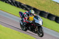 PJ-Motorsport-Photography-2018;anglesey-no-limits-trackday;anglesey-photographs;anglesey-trackday-photographs;enduro-digital-images;event-digital-images;eventdigitalimages;no-limits-trackdays;peter-wileman-photography;racing-digital-images;trac-mon;trackday-digital-images;trackday-photos;ty-croes