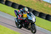 PJ-Motorsport-Photography-2018;anglesey-no-limits-trackday;anglesey-photographs;anglesey-trackday-photographs;enduro-digital-images;event-digital-images;eventdigitalimages;no-limits-trackdays;peter-wileman-photography;racing-digital-images;trac-mon;trackday-digital-images;trackday-photos;ty-croes