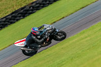 PJ-Motorsport-Photography-2018;anglesey-no-limits-trackday;anglesey-photographs;anglesey-trackday-photographs;enduro-digital-images;event-digital-images;eventdigitalimages;no-limits-trackdays;peter-wileman-photography;racing-digital-images;trac-mon;trackday-digital-images;trackday-photos;ty-croes