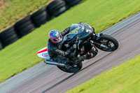 PJ-Motorsport-Photography-2018;anglesey-no-limits-trackday;anglesey-photographs;anglesey-trackday-photographs;enduro-digital-images;event-digital-images;eventdigitalimages;no-limits-trackdays;peter-wileman-photography;racing-digital-images;trac-mon;trackday-digital-images;trackday-photos;ty-croes