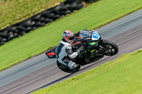 PJ-Motorsport-Photography-2018;anglesey-no-limits-trackday;anglesey-photographs;anglesey-trackday-photographs;enduro-digital-images;event-digital-images;eventdigitalimages;no-limits-trackdays;peter-wileman-photography;racing-digital-images;trac-mon;trackday-digital-images;trackday-photos;ty-croes