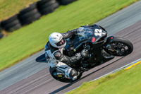 PJ-Motorsport-Photography-2018;anglesey-no-limits-trackday;anglesey-photographs;anglesey-trackday-photographs;enduro-digital-images;event-digital-images;eventdigitalimages;no-limits-trackdays;peter-wileman-photography;racing-digital-images;trac-mon;trackday-digital-images;trackday-photos;ty-croes