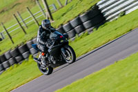 PJ-Motorsport-Photography-2018;anglesey-no-limits-trackday;anglesey-photographs;anglesey-trackday-photographs;enduro-digital-images;event-digital-images;eventdigitalimages;no-limits-trackdays;peter-wileman-photography;racing-digital-images;trac-mon;trackday-digital-images;trackday-photos;ty-croes