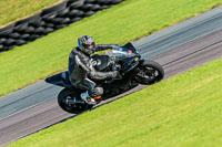 PJ-Motorsport-Photography-2018;anglesey-no-limits-trackday;anglesey-photographs;anglesey-trackday-photographs;enduro-digital-images;event-digital-images;eventdigitalimages;no-limits-trackdays;peter-wileman-photography;racing-digital-images;trac-mon;trackday-digital-images;trackday-photos;ty-croes