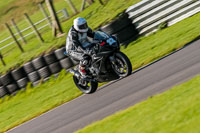 PJ-Motorsport-Photography-2018;anglesey-no-limits-trackday;anglesey-photographs;anglesey-trackday-photographs;enduro-digital-images;event-digital-images;eventdigitalimages;no-limits-trackdays;peter-wileman-photography;racing-digital-images;trac-mon;trackday-digital-images;trackday-photos;ty-croes