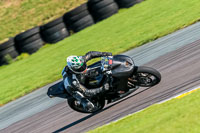 PJ-Motorsport-Photography-2018;anglesey-no-limits-trackday;anglesey-photographs;anglesey-trackday-photographs;enduro-digital-images;event-digital-images;eventdigitalimages;no-limits-trackdays;peter-wileman-photography;racing-digital-images;trac-mon;trackday-digital-images;trackday-photos;ty-croes