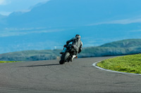 PJ-Motorsport;anglesey-no-limits-trackday;anglesey-photographs;anglesey-trackday-photographs;enduro-digital-images;event-digital-images;eventdigitalimages;no-limits-trackdays;peter-wileman-photography;racing-digital-images;trac-mon;trackday-digital-images;trackday-photos;ty-croes