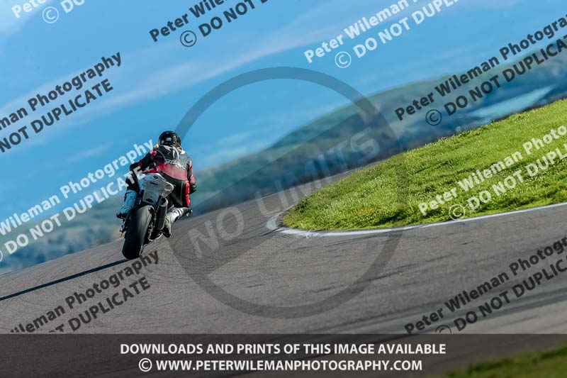 PJ Motorsport;anglesey no limits trackday;anglesey photographs;anglesey trackday photographs;enduro digital images;event digital images;eventdigitalimages;no limits trackdays;peter wileman photography;racing digital images;trac mon;trackday digital images;trackday photos;ty croes