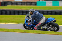 PJ-Motorsport-Photography-2018;anglesey-no-limits-trackday;anglesey-photographs;anglesey-trackday-photographs;enduro-digital-images;event-digital-images;eventdigitalimages;no-limits-trackdays;peter-wileman-photography;racing-digital-images;trac-mon;trackday-digital-images;trackday-photos;ty-croes