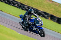 PJ-Motorsport-Photography-2018;anglesey-no-limits-trackday;anglesey-photographs;anglesey-trackday-photographs;enduro-digital-images;event-digital-images;eventdigitalimages;no-limits-trackdays;peter-wileman-photography;racing-digital-images;trac-mon;trackday-digital-images;trackday-photos;ty-croes