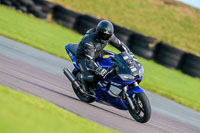 PJ-Motorsport-Photography-2018;anglesey-no-limits-trackday;anglesey-photographs;anglesey-trackday-photographs;enduro-digital-images;event-digital-images;eventdigitalimages;no-limits-trackdays;peter-wileman-photography;racing-digital-images;trac-mon;trackday-digital-images;trackday-photos;ty-croes