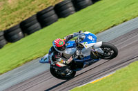 PJ-Motorsport-Photography-2018;anglesey-no-limits-trackday;anglesey-photographs;anglesey-trackday-photographs;enduro-digital-images;event-digital-images;eventdigitalimages;no-limits-trackdays;peter-wileman-photography;racing-digital-images;trac-mon;trackday-digital-images;trackday-photos;ty-croes