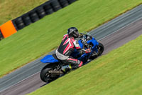 PJ-Motorsport-Photography-2018;anglesey-no-limits-trackday;anglesey-photographs;anglesey-trackday-photographs;enduro-digital-images;event-digital-images;eventdigitalimages;no-limits-trackdays;peter-wileman-photography;racing-digital-images;trac-mon;trackday-digital-images;trackday-photos;ty-croes