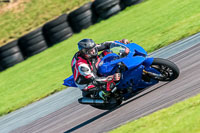 PJ-Motorsport-Photography-2018;anglesey-no-limits-trackday;anglesey-photographs;anglesey-trackday-photographs;enduro-digital-images;event-digital-images;eventdigitalimages;no-limits-trackdays;peter-wileman-photography;racing-digital-images;trac-mon;trackday-digital-images;trackday-photos;ty-croes