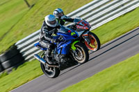 PJ-Motorsport-Photography-2018;anglesey-no-limits-trackday;anglesey-photographs;anglesey-trackday-photographs;enduro-digital-images;event-digital-images;eventdigitalimages;no-limits-trackdays;peter-wileman-photography;racing-digital-images;trac-mon;trackday-digital-images;trackday-photos;ty-croes