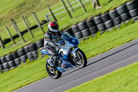 PJ-Motorsport-Photography-2018;anglesey-no-limits-trackday;anglesey-photographs;anglesey-trackday-photographs;enduro-digital-images;event-digital-images;eventdigitalimages;no-limits-trackdays;peter-wileman-photography;racing-digital-images;trac-mon;trackday-digital-images;trackday-photos;ty-croes