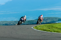 PJ-Motorsport;anglesey-no-limits-trackday;anglesey-photographs;anglesey-trackday-photographs;enduro-digital-images;event-digital-images;eventdigitalimages;no-limits-trackdays;peter-wileman-photography;racing-digital-images;trac-mon;trackday-digital-images;trackday-photos;ty-croes