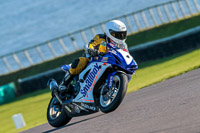 PJ-Motorsport;anglesey-no-limits-trackday;anglesey-photographs;anglesey-trackday-photographs;enduro-digital-images;event-digital-images;eventdigitalimages;no-limits-trackdays;peter-wileman-photography;racing-digital-images;trac-mon;trackday-digital-images;trackday-photos;ty-croes