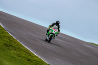 PJ-Motorsport-Photography-2018;anglesey-no-limits-trackday;anglesey-photographs;anglesey-trackday-photographs;enduro-digital-images;event-digital-images;eventdigitalimages;no-limits-trackdays;peter-wileman-photography;racing-digital-images;trac-mon;trackday-digital-images;trackday-photos;ty-croes