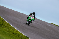 PJ-Motorsport-Photography-2018;anglesey-no-limits-trackday;anglesey-photographs;anglesey-trackday-photographs;enduro-digital-images;event-digital-images;eventdigitalimages;no-limits-trackdays;peter-wileman-photography;racing-digital-images;trac-mon;trackday-digital-images;trackday-photos;ty-croes