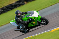 PJ-Motorsport-Photography-2018;anglesey-no-limits-trackday;anglesey-photographs;anglesey-trackday-photographs;enduro-digital-images;event-digital-images;eventdigitalimages;no-limits-trackdays;peter-wileman-photography;racing-digital-images;trac-mon;trackday-digital-images;trackday-photos;ty-croes