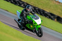 PJ-Motorsport-Photography-2018;anglesey-no-limits-trackday;anglesey-photographs;anglesey-trackday-photographs;enduro-digital-images;event-digital-images;eventdigitalimages;no-limits-trackdays;peter-wileman-photography;racing-digital-images;trac-mon;trackday-digital-images;trackday-photos;ty-croes