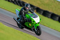 PJ-Motorsport-Photography-2018;anglesey-no-limits-trackday;anglesey-photographs;anglesey-trackday-photographs;enduro-digital-images;event-digital-images;eventdigitalimages;no-limits-trackdays;peter-wileman-photography;racing-digital-images;trac-mon;trackday-digital-images;trackday-photos;ty-croes