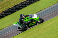 PJ-Motorsport-Photography-2018;anglesey-no-limits-trackday;anglesey-photographs;anglesey-trackday-photographs;enduro-digital-images;event-digital-images;eventdigitalimages;no-limits-trackdays;peter-wileman-photography;racing-digital-images;trac-mon;trackday-digital-images;trackday-photos;ty-croes