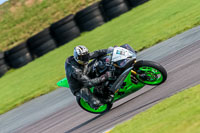 PJ-Motorsport-Photography-2018;anglesey-no-limits-trackday;anglesey-photographs;anglesey-trackday-photographs;enduro-digital-images;event-digital-images;eventdigitalimages;no-limits-trackdays;peter-wileman-photography;racing-digital-images;trac-mon;trackday-digital-images;trackday-photos;ty-croes